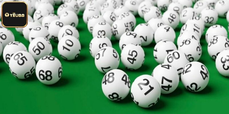 Bạch Thủ Lô Kép Là Gì? Cách Bắt Số Siêu Đỉnh Dễ Trúng Thưởng