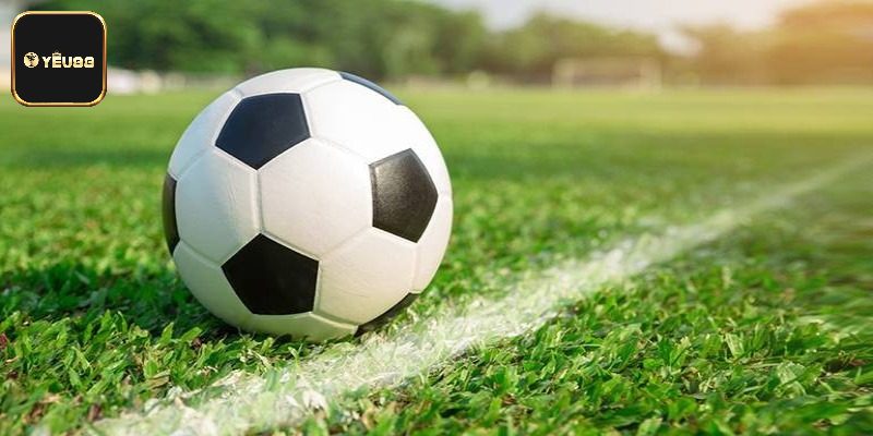 Cá cược các bộ môn thể thao hot nhất thời đại