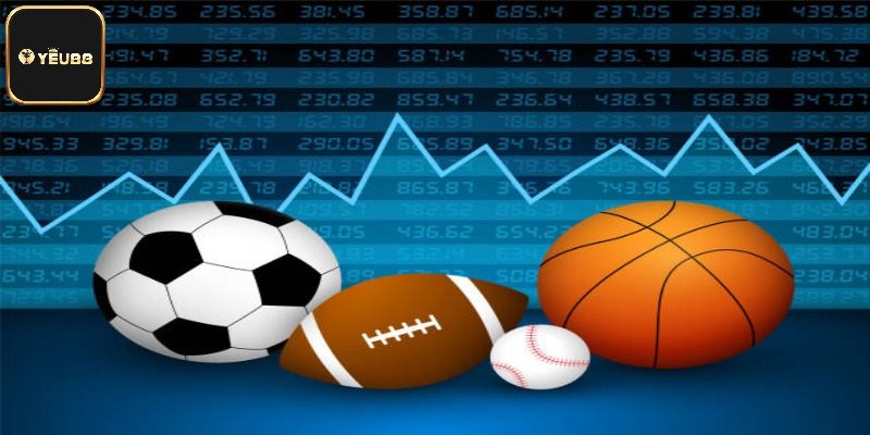 CR Thể Thao - Khám Phá Sân Chơi Lý Tưởng Cho Fan Hâm Mộ