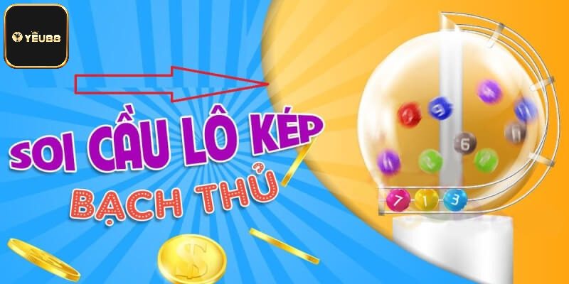 Khái quát về bạch thủ lô kép