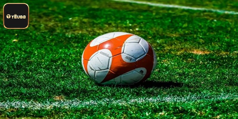 Khám phá các sảnh cược thể thao nổi tiếng tại nhà cái