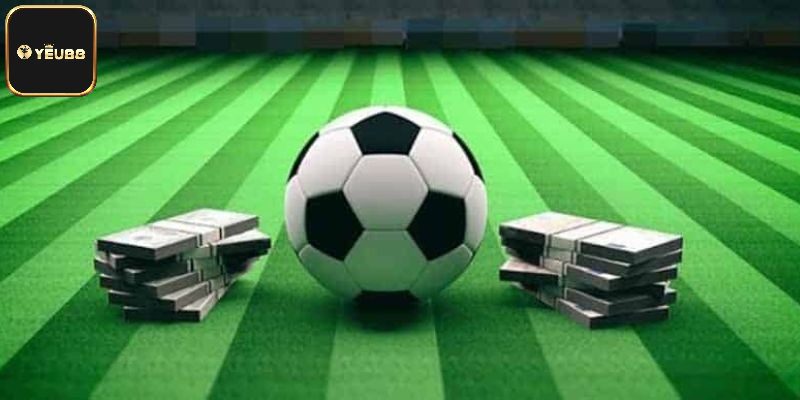 Kinh nghiệm soi kèo chắc thắng được cao thủ Yeu88 chia sẻ