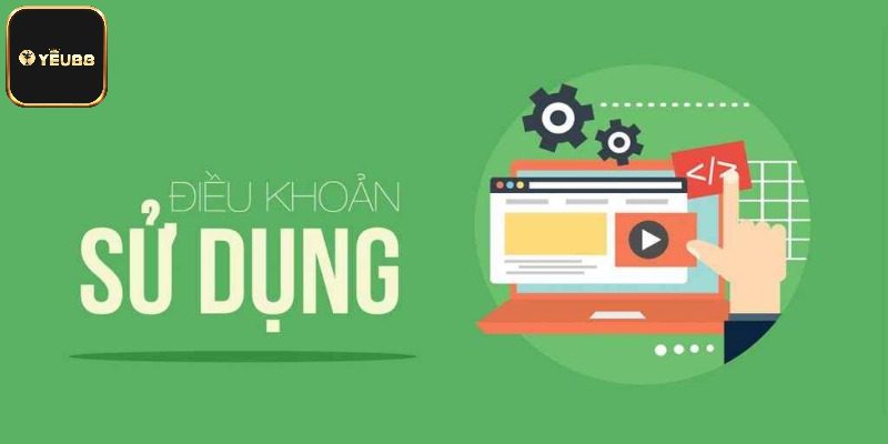 Những điều cần biết trong điều khoản sử dụng